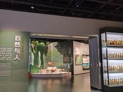 -四川大学博物馆