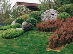 -唐御宴•御宴宫•唐代菜点(芙蓉西路店)