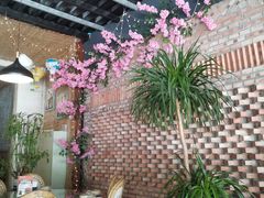 -遇见小院—虹鳟鱼•农家菜(怀柔店)