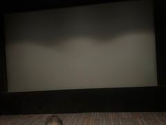 -金逸影城(大悦城IMAX激光店)