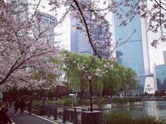 景点-西北湖绿化广场