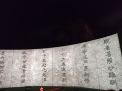 -印象普陀
