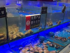 -SEA西雅图海鲜自助餐厅(海乐世界店)