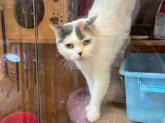 -顺德·古草食记(长寿店)