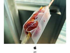 -和禄德冰糖葫芦