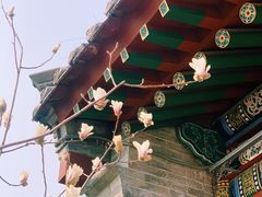 -迎泽公园