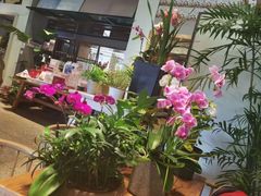 -谷咖啡·鲜花绿植花园餐厅