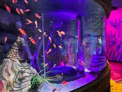 -沈阳海洋探索中心