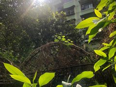 -有红鸡毛店·川菜(建设路店)