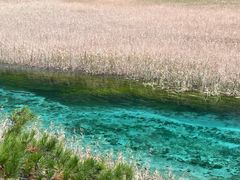 -烹湘·鲜炒湖南土菜(海珠店)