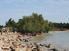 -宝安西湾红树林湿地公园