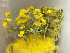 -HELEN FLORAL DESIGN(海上世界文化艺术中心店)