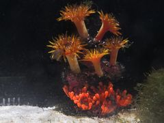 -洛阳龙门海洋馆