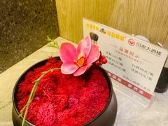 -国惠大酒楼(宝龙店)