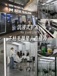 -M6 SALON