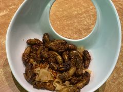 -园林美食城·本土农家菜(杨和镇店)