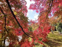 -无印良品(京都BAL店)