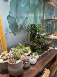 -娇玫荟SPA