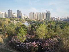 -群力丁香公园