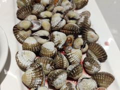 血蛤-华盛丰温州大排档(东三环南路店)