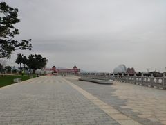 -野狸岛