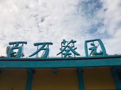 -百万葵园