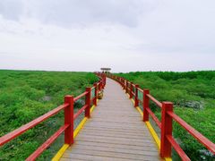 -北海金海湾红树林生态旅游区