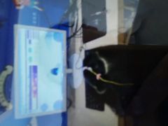 -竞思注意力·专注力·学习能力训练(广开中心)