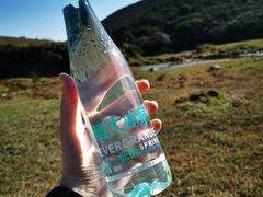 -大姆山草场