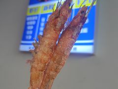 -四禧精酿铜锅涮肉·烧烤工场(大明湖店)