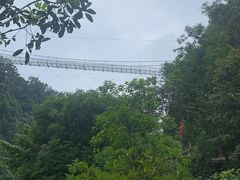 -四会奇石河风景区