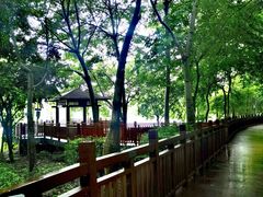 -广东花都湖国家湿地公园
