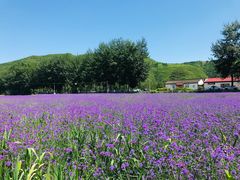 -百里山水画廊