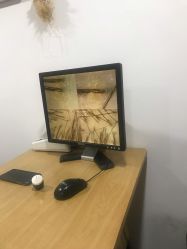 -章光101防脱养发荟