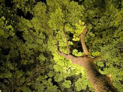 -天鹅湖体育公园