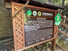 -西双版纳原始森林公园