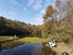 -天目湖山水园