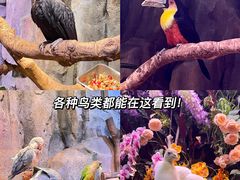 -正佳极地海洋世界