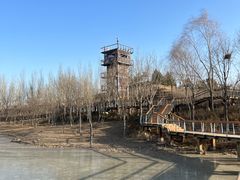 -东郊湿地公园
