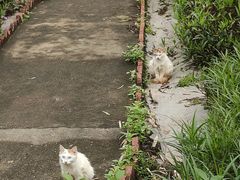 -晓港公园
