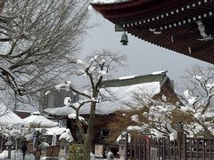 -医王山·飞騨国分寺