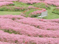 -花开海上生态园