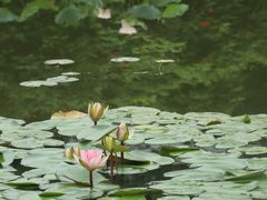 -国家植物园南园