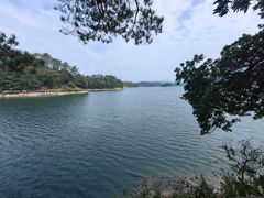 -广州市流溪河国家森林公园