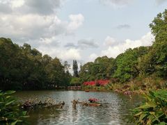 -深圳仙湖植物园