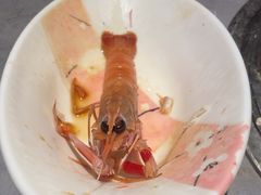 -奔海甄选·活鲜刺身铁板烧自助(太原里店)