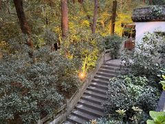 -宋宴(虎跑店)