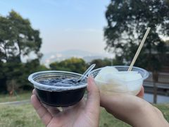 -黄埔油麻山森林公园