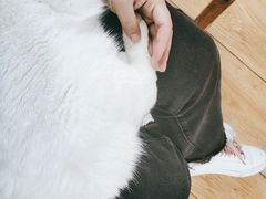 -猫小院猫主题餐厅(南锣旗舰店)