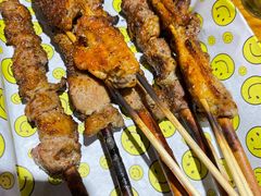 招牌红柳羊肉串-新疆烧烤王(广灵店)